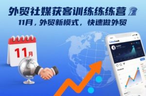 外贸社媒获客训练营11月，外贸新模式，快速做外贸-识享社