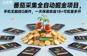 番茄采集全自动掘金项目，手机无脑挂G操作，一天保底收益18+可批量多开【揭秘】-识享社