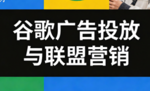 leo老师·谷歌广告投放与联盟营销-识享社