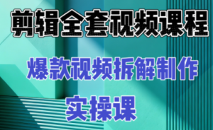 冰糖老师·AI视频制作实操课程(更新11月)-识享社