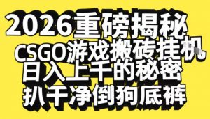 2026开年重磅解密,CSGO游戏搬砖挂G日入1k+的秘密,把倒狗的底裤扒干【揭秘】-识享社