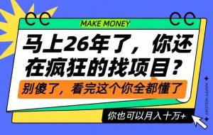 26年了，不要再疯狂的找项目了，看完这个你也可以月入十个W【揭秘】-识享社