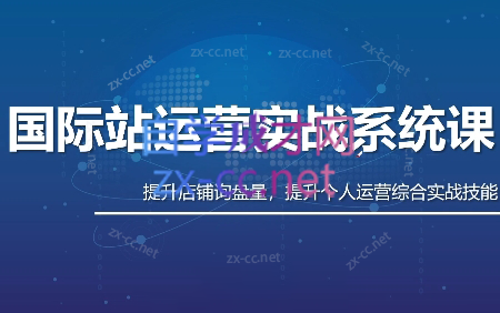 白老师·国际站运营实战系统(高质量询盘增长课)(部分更新)-识享社