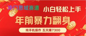 年前爆火项目，5天赚了7300-识享社