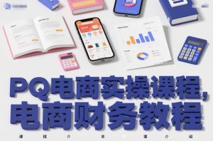 PQ电商实操课程，电商财务教程-识享社
