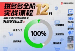 拼多多全阶实战课程12月,从新手小白到运营高手,海量实战玩法-识享社