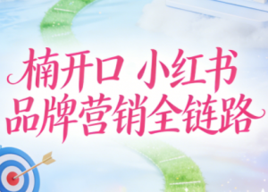 楠开口·小红书品牌营销全链路(更新12月)-识享社