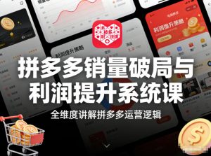 拼多多销量破局与利润提升系统课，全维度讲解拼多多运营逻辑-识享社
