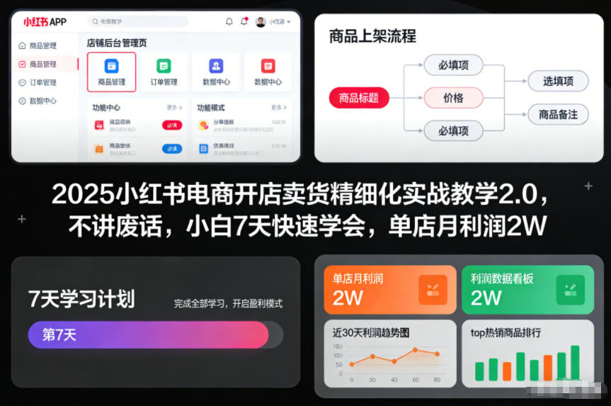 2025小红书电商开店卖货精细化实战教学2.0，不讲废话，小白7天快速学会，单店月利润2W-识享社