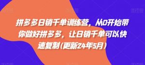 拼多多日销千单训练营,从0开始带你做好拼多多,让日销千单可以快速复制(更新25年12月)-识享社