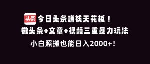 今日头条赚钱天花板！微头条+文章+视频三重暴利玩法，小白照搬也能日人2000+-识享社