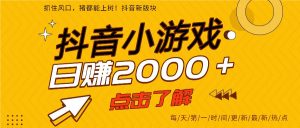 5年爆火的抖音小游戏项目，一部手机日入2000+-识享社