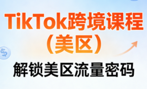 TikTok跨境课程(美区)-识享社