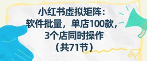 小红书虚拟矩阵：软件批量发笔记，单店100款，3个店同时操作(共71节)-识享社