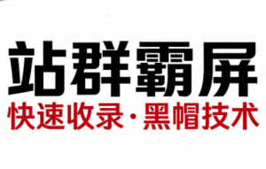 SEO野路子实战全集：快速收录、站群霸屏、黑帽技术-识享社