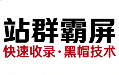 SEO野路子实战全集：快速收录、站群霸屏、黑帽技术-识享社