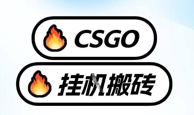 真全网独家CSGO挂G,最新玩法,单日捡漏1K+,不用电脑,不用打游戏【揭秘】-识享社