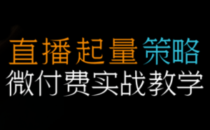 半野老师·直播带货起量与微付费必学课视频号(更新2026)-识享社