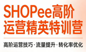 梦凡老师·Shopee虾皮高阶运营课程-识享社