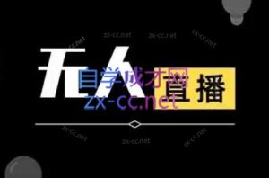 宝子哥·无人直播-非实时防风技术(更新2026)-识享社