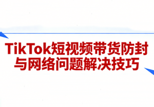 老谭·TikTok短视频带货实拍课程-识享社