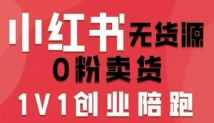 小红书无货源0粉电商课，开店准备、选品策略、笔记撰写、视频剪辑、数据分析、账号打造、资料文档(更新)-识享社