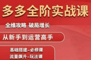 大炮·拼多多全阶实战课程(更新2026)-识享社