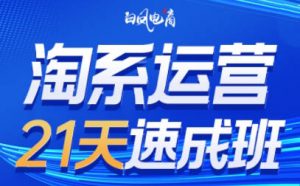 白凤电商·淘系运营21天速成班(更新2026)-识享社