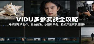 VIDU多参实战全攻略：海螺首尾帧制作，图生技法，小短片案例，轻松产出高质量短片-识享社