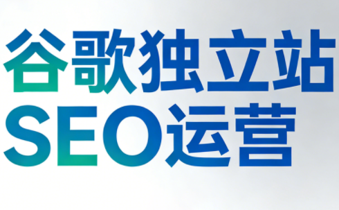 谷歌独立站SEO运营(更新2026)-识享社