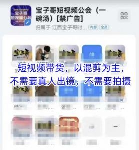 宝子哥头部团队短视频带货，以混剪为主，不需要真人出镜，不需要拍摄【更新12月】-识享社
