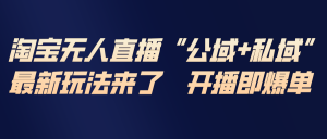淘宝无人直播最新玩法，包含私域和公域两种玩法-识享社
