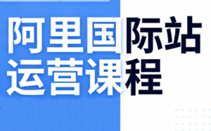 张国儒·阿里国际站运营课程(更新2026)-识享社