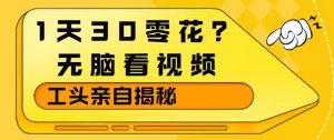 1天30零花？无脑看视频，大佬亲自揭秘-识享社