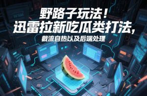 野路子玩法！迅雷拉新吃瓜类打法，截流自热以及后端处理-识享社