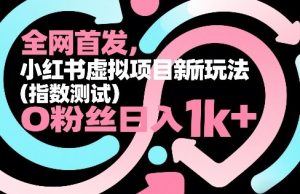 全网首发,小红书虚拟项目新玩法(指数测试),0粉丝日入1k+,整个玩法完整拆解!-识享社