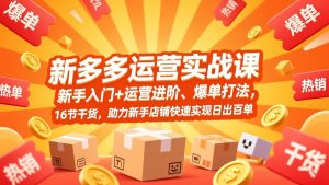 拼多多运营实战课,新手入门+运营进阶、爆单打法,16节干货,助力新手店铺快速实现日出百单-识享社