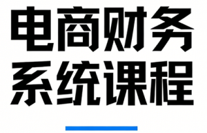 郑老师·电商财务系统课程-识享社