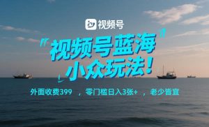 视频号蓝海小众玩法！外面收费399，零门槛日入3张+，老少皆宜-识享社
