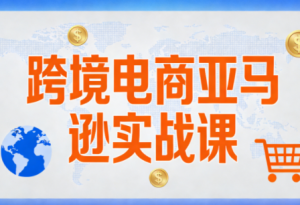 丝丝老师·跨境电商亚马逊实战课(更新2月)-识享社