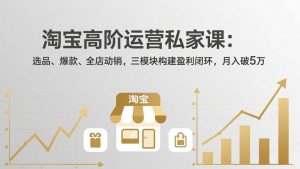 淘宝高阶运营私家课:选品、爆款、全店动销,三模块构建盈利闭环,月入破5万(更新26年2月-识享社