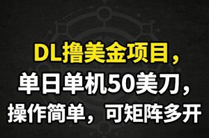 DL撸美金项目，单日单机50美刀，操作简单，可矩阵多开-识享社