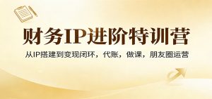财务IP进阶特训营：从IP搭建到变现闭环，代账，做课，朋友圈运营-识享社