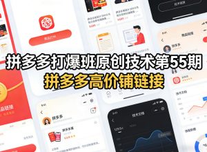 拼多多打爆班原创技术第55期，拼多多高价铺链接-识享社
