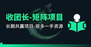 【团长合作】视频矩阵项目_招发手矩阵+剪辑师，共赢项目【揭秘】-识享社