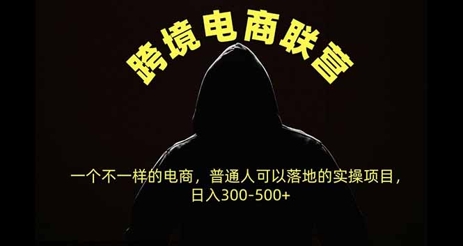 跨境电商联营,一个不一样的电商,普通人可操作日入300-500+-识享社