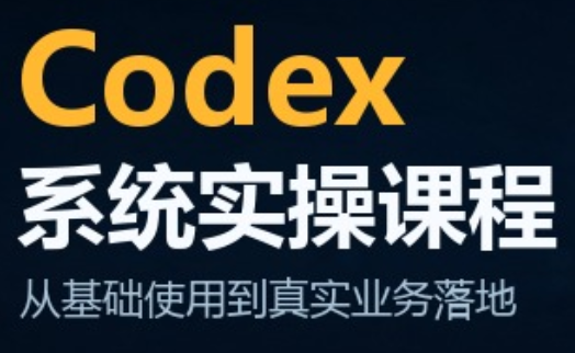 codex系统实操课程(更新10月)-识享社
