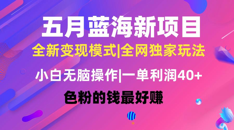 五月蓝海项目全新玩法，小白无脑操作，一天几分钟，矩阵操作，月入4万+-识享社