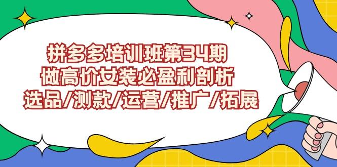 (9333期)拼多多培训班第34期:做高价女装必盈利剖析 选品/测款/运营/推广/拓展-识享社