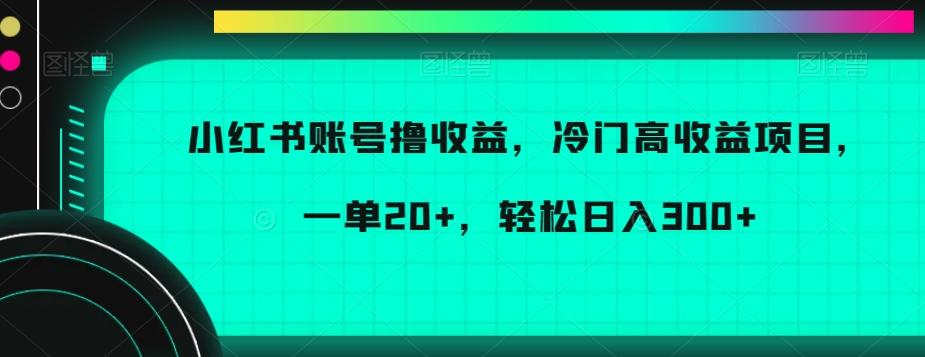 小红书账号撸收益，冷门高收益项目，一单20+，轻松日入300+【揭秘】-识享社